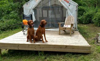 The Dyrt's photo of camping with pets at Sunrise Hideaway and Organic Farm near Toms River, NJ