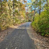 Review photo of Parvin State Park Campground by Frank J., October 21, 2024