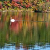 Review photo of Parvin State Park Campground by Frank J., October 21, 2024