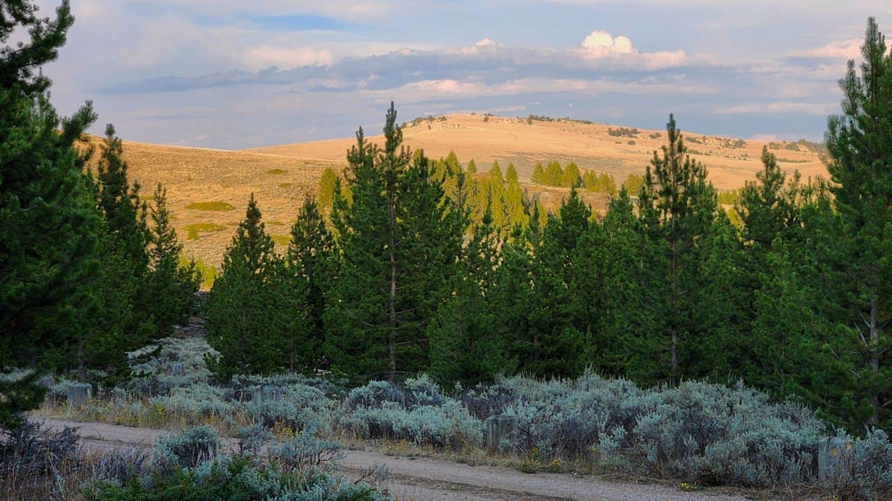 Camper-submitted photo at Grave Springs Campground near Lysite, WY