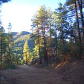 Review photo of Wolf Creek Road Camp by Greg H., October 21, 2024