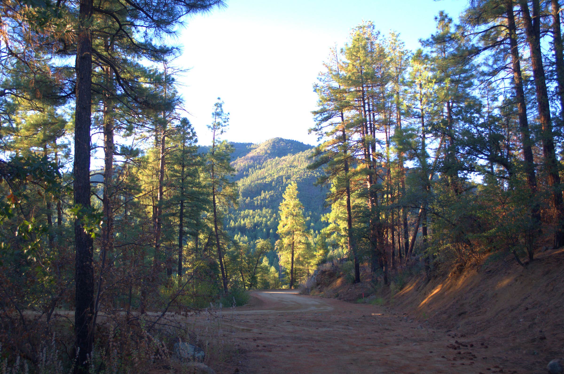 Camper submitted image from Wolf Creek Road Camp - 3