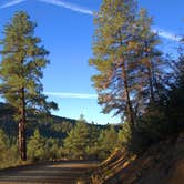 Review photo of Wolf Creek Road Camp by Greg H., October 21, 2024