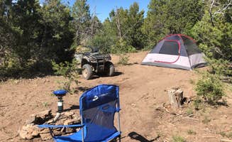 The Dyrt's photo at Ridge Road Hideaway near Cortez, CO