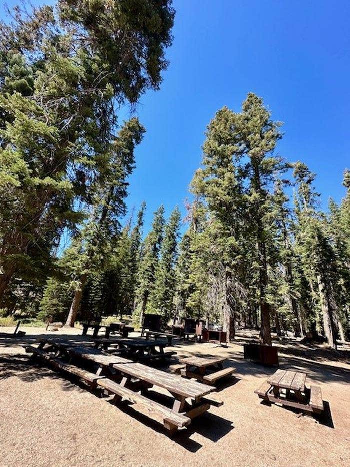 Camper submitted image from Fir Group Campground - 1