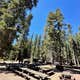 Fir Group Campground