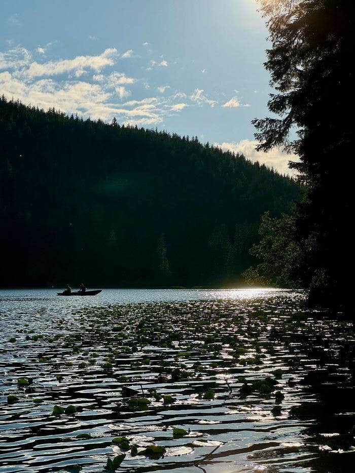 Camper submitted image from Windfall Lake Cabin - 2