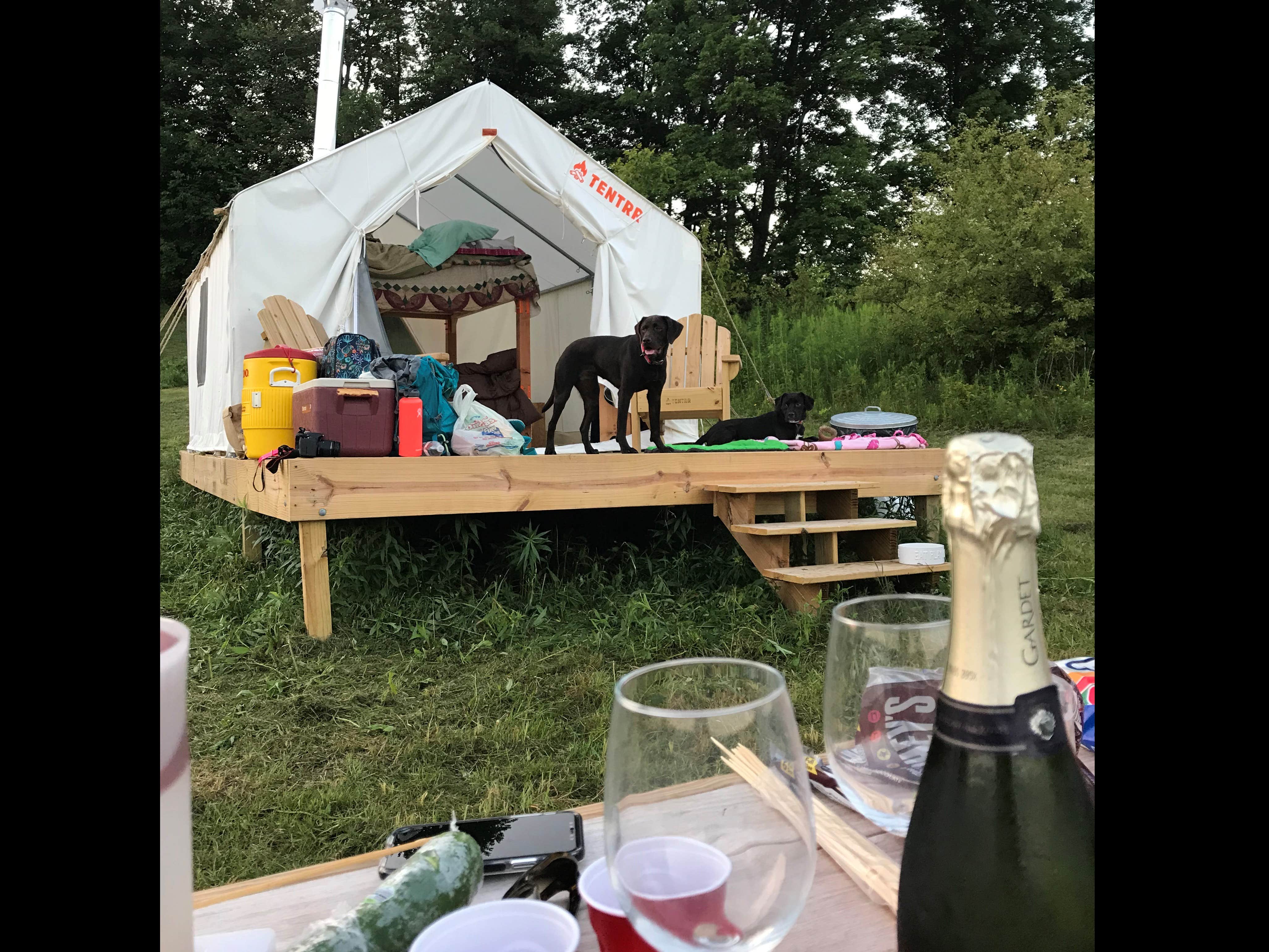 The Dyrt's photo at Scenic Mountainview Preserve near Milford, NY