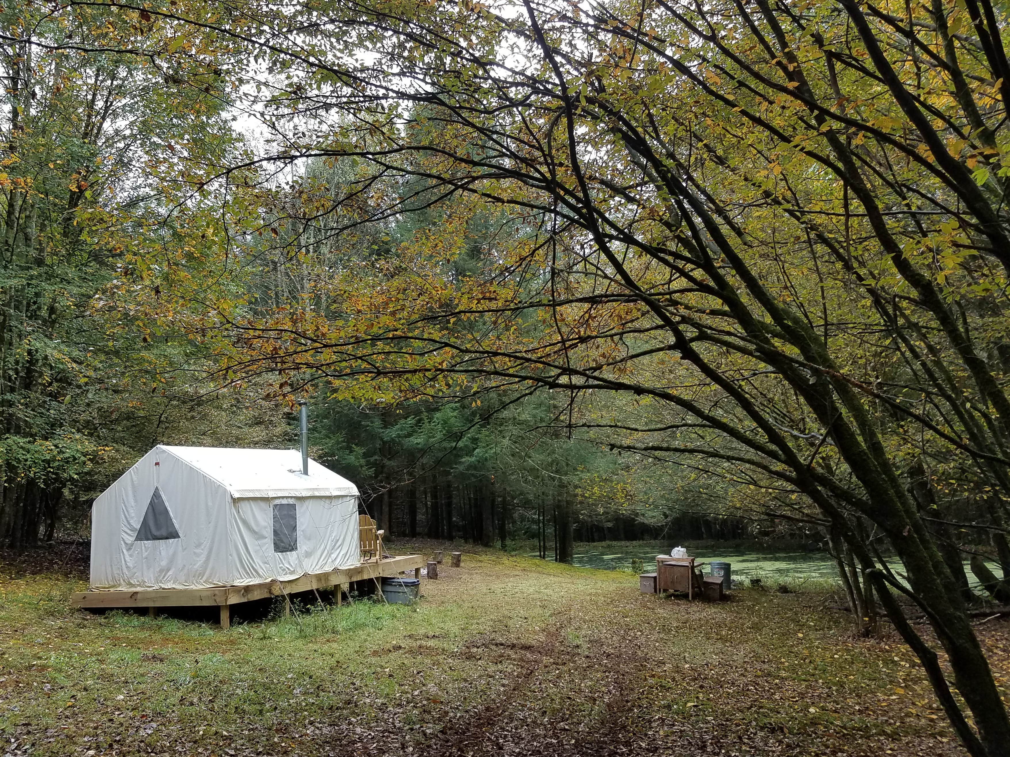 The Dyrt's photo at Catskill Mountainside Camp near Upper Delaware National Scenic and Recreation River