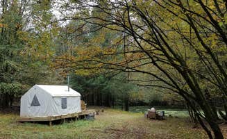 The Dyrt's photo at Catskill Mountainside Camp near Upper Delaware National Scenic and Recreation River
