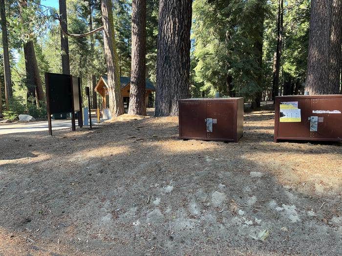 Camper submitted image from Sunset Campground — Kings Canyon National Park - 3