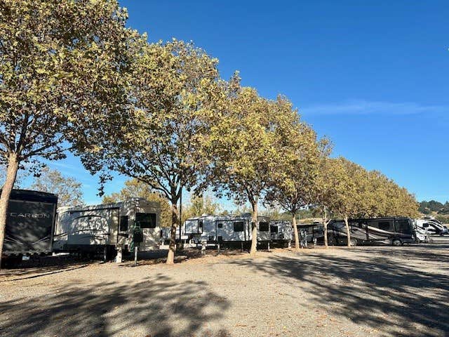 Camper-submitted photo at Sonoma County Fairgrounds RV Park near Rutherford, CA