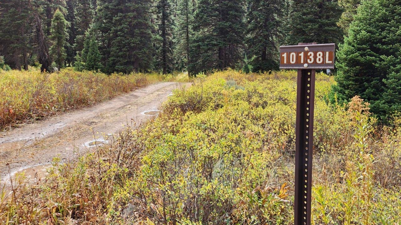 Camper submitted image from Grey's River 10138L Dispersed - 2