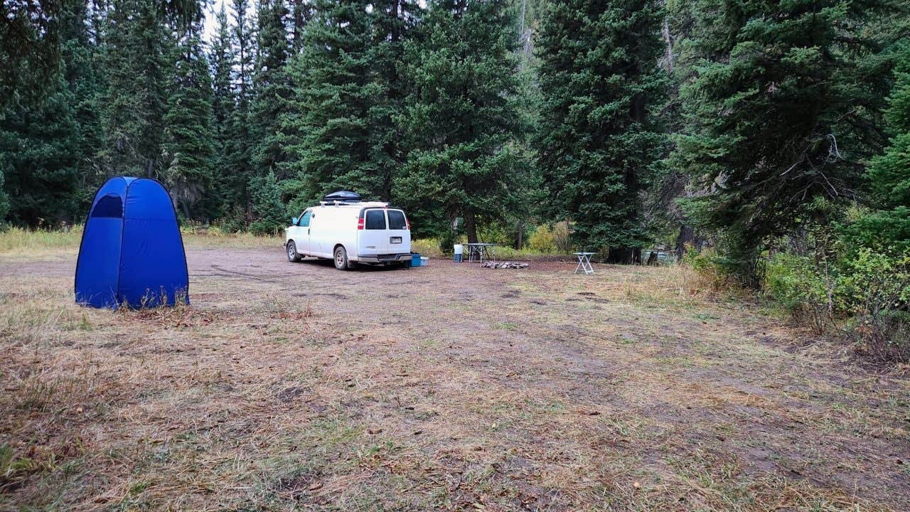 Camper submitted image from Grey's River 10138L Dispersed - 1