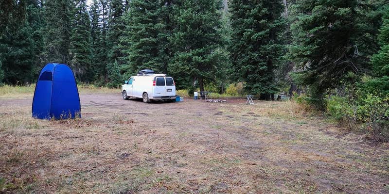 Camper submitted image from Grey's River 10138L Dispersed