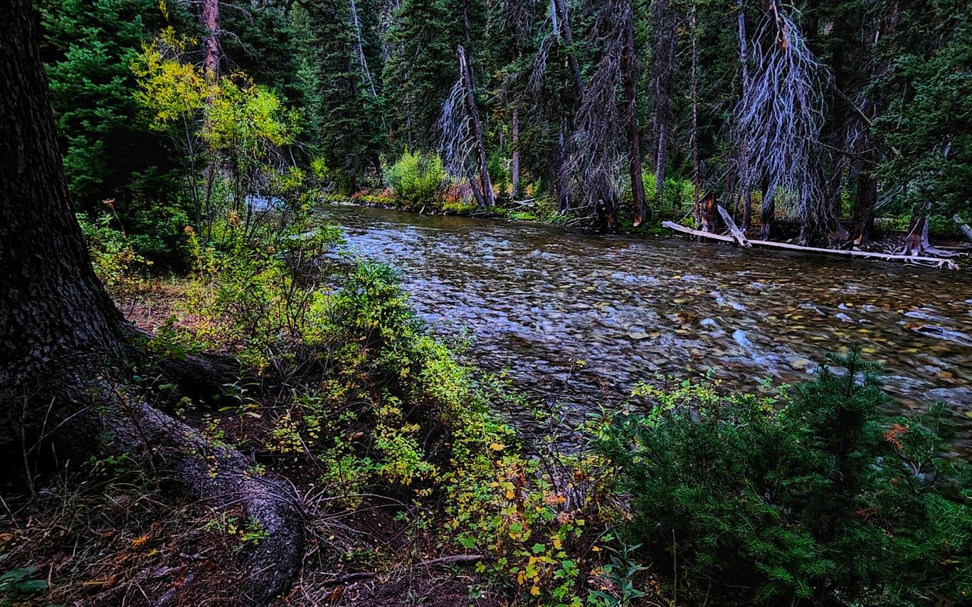 Camper-submitted photo at Grey's River 10138L Dispersed near Grover, WY