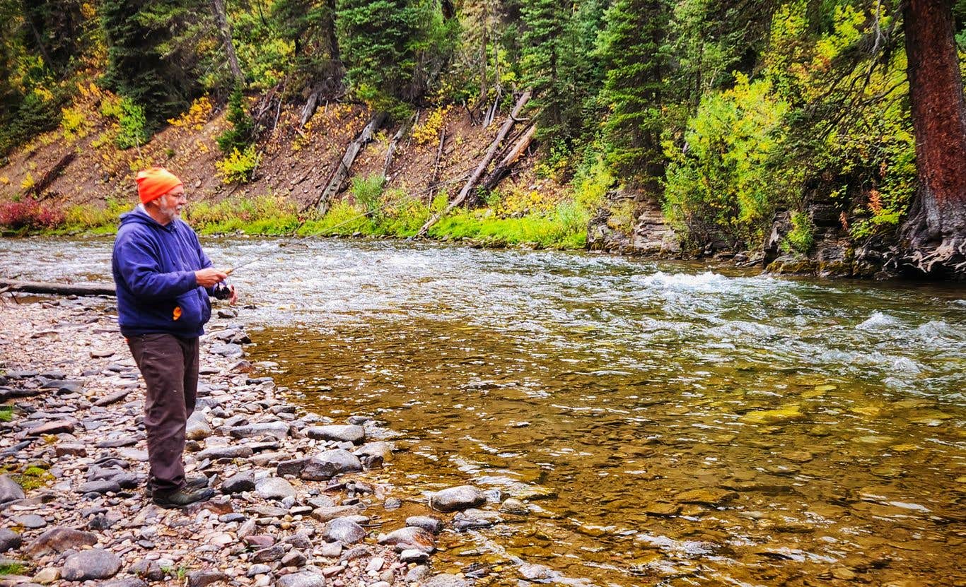 Camper submitted image from Grey's River 10138L Dispersed - 5