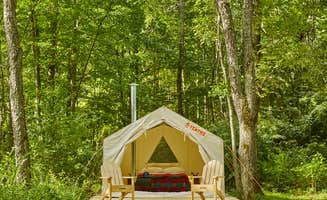 The Dyrt's photo at Wallenpaupack Creek Camp 1 near Spring Brook, PA