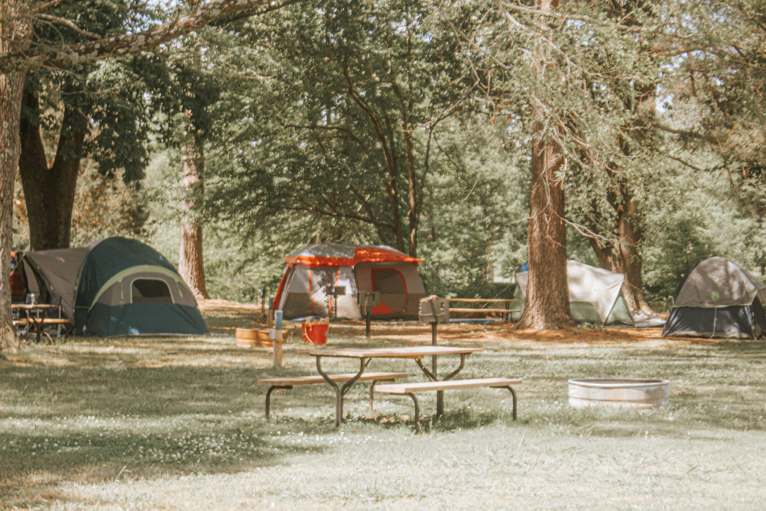 Horizon M.'s photo at Serendipity Resort near Jackson, TN