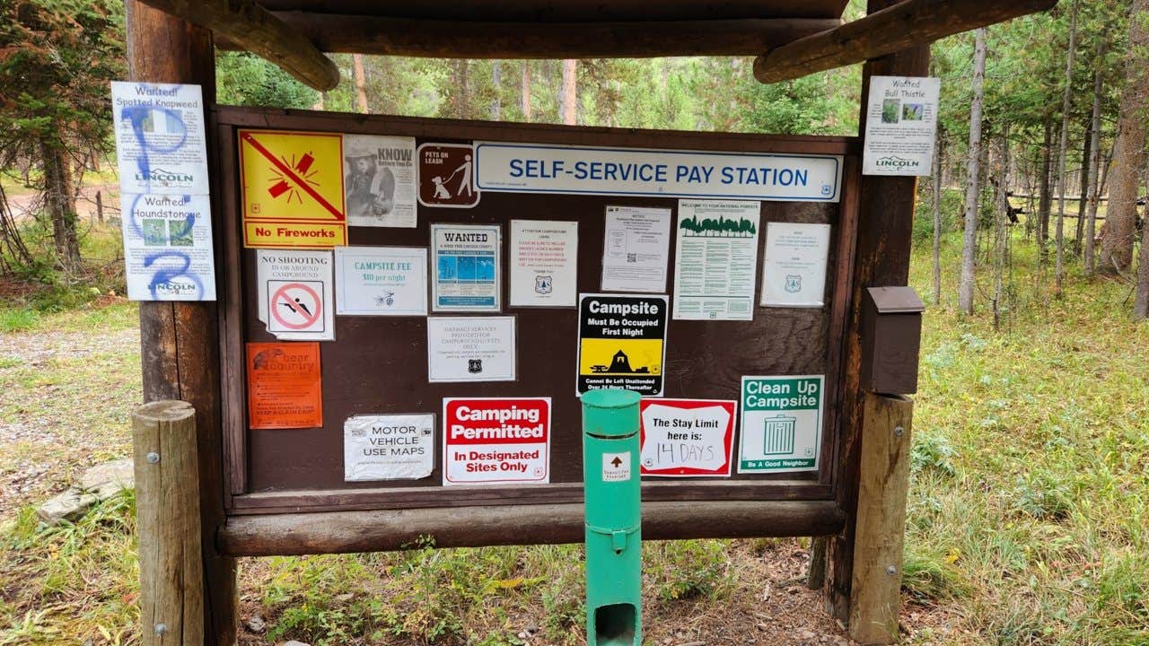 Camper-submitted photo at Forest Park near Afton, WY