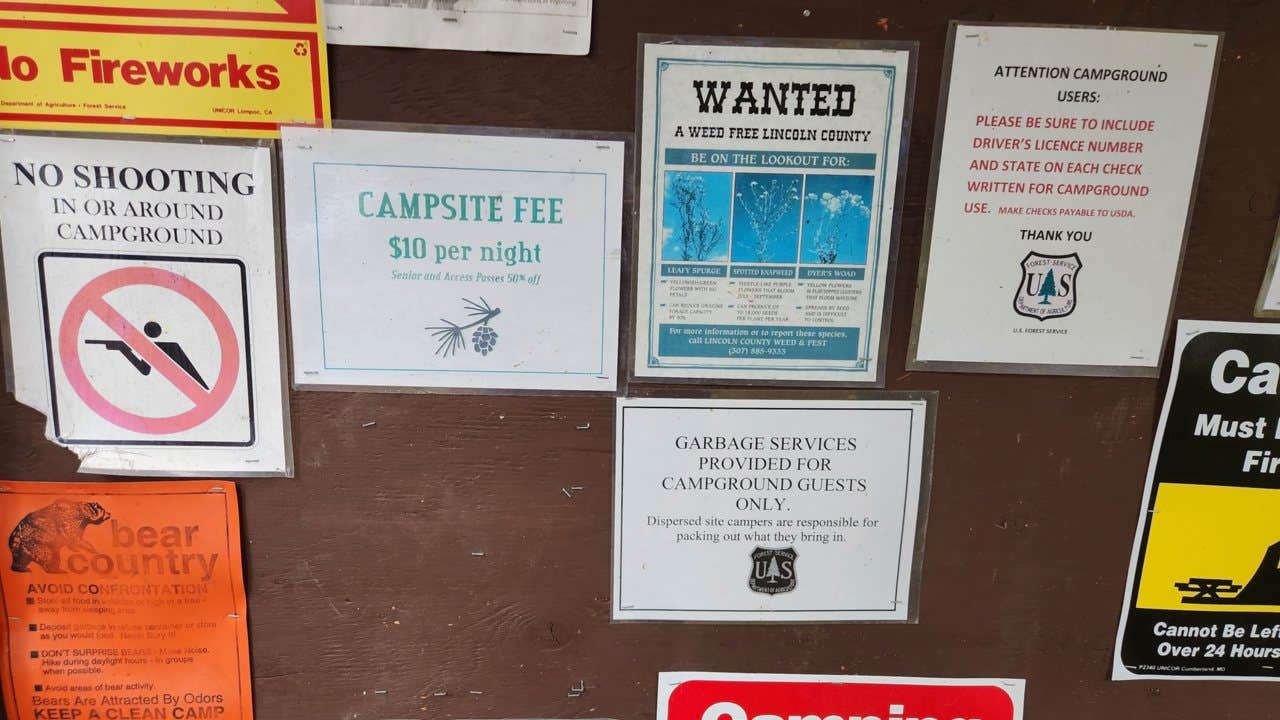 Camper-submitted photo at Forest Park near Afton, WY