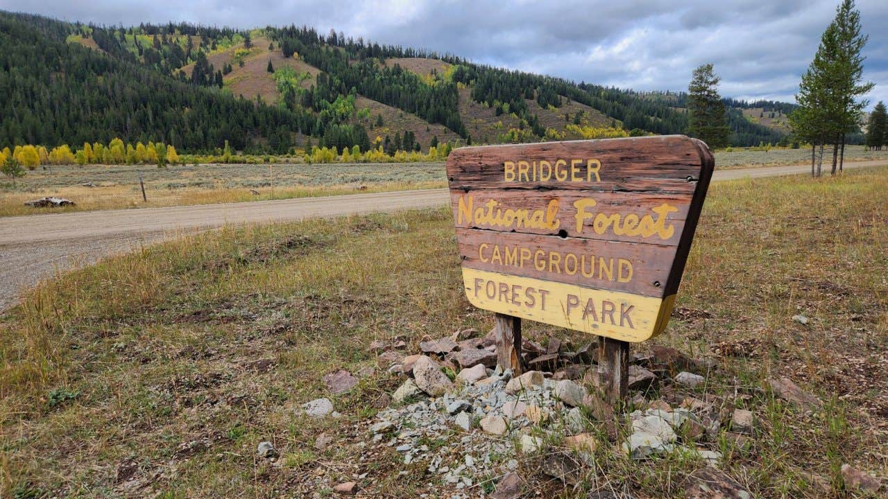 Camper submitted image from Forest Park - 4