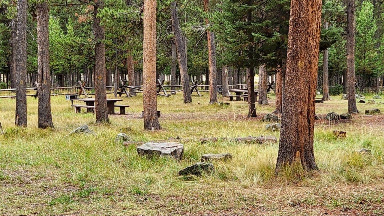 Camper-submitted photo at Forest Park near Afton, WY