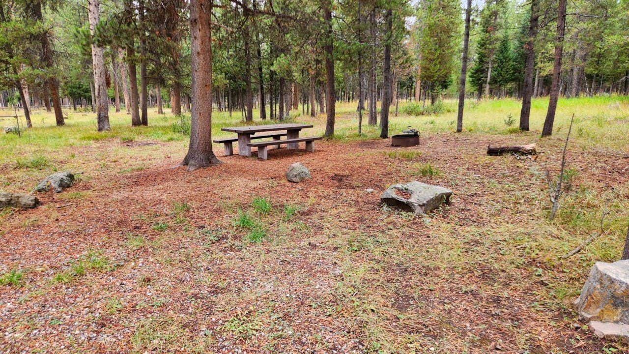 Camper-submitted photo at Forest Park near Afton, WY