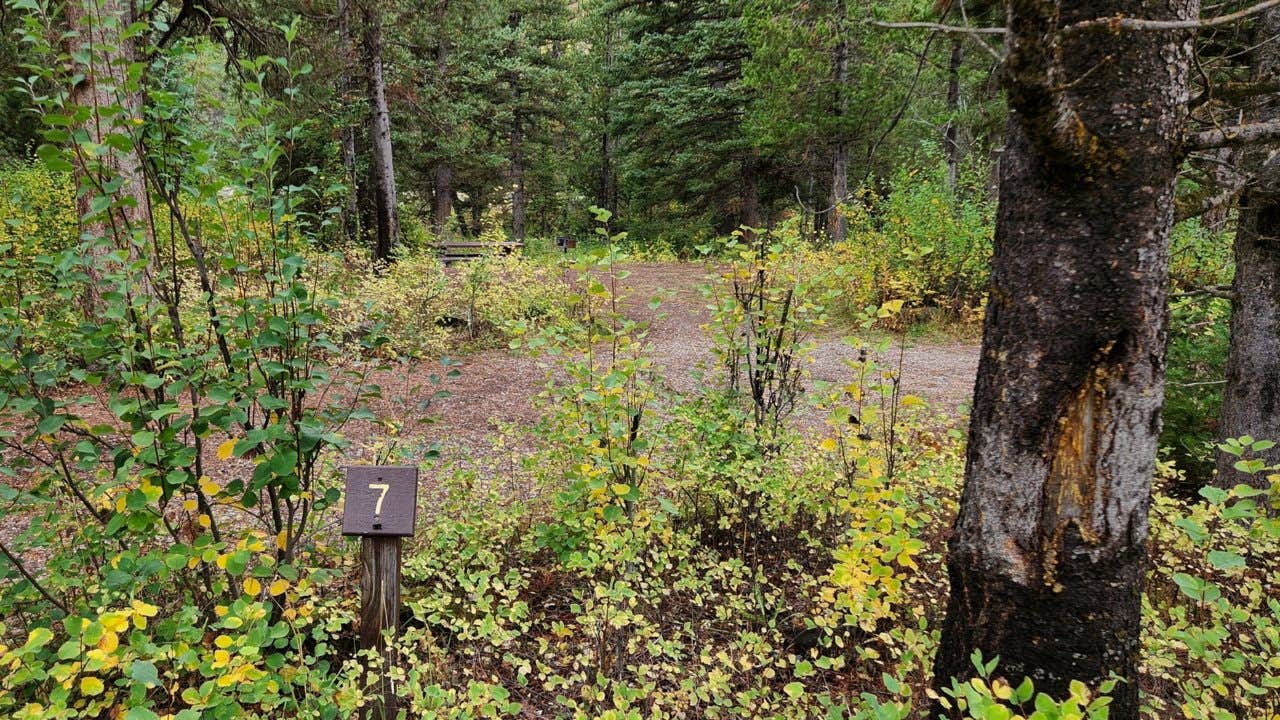Camper-submitted photo at Moose Flat near Thayne, WY