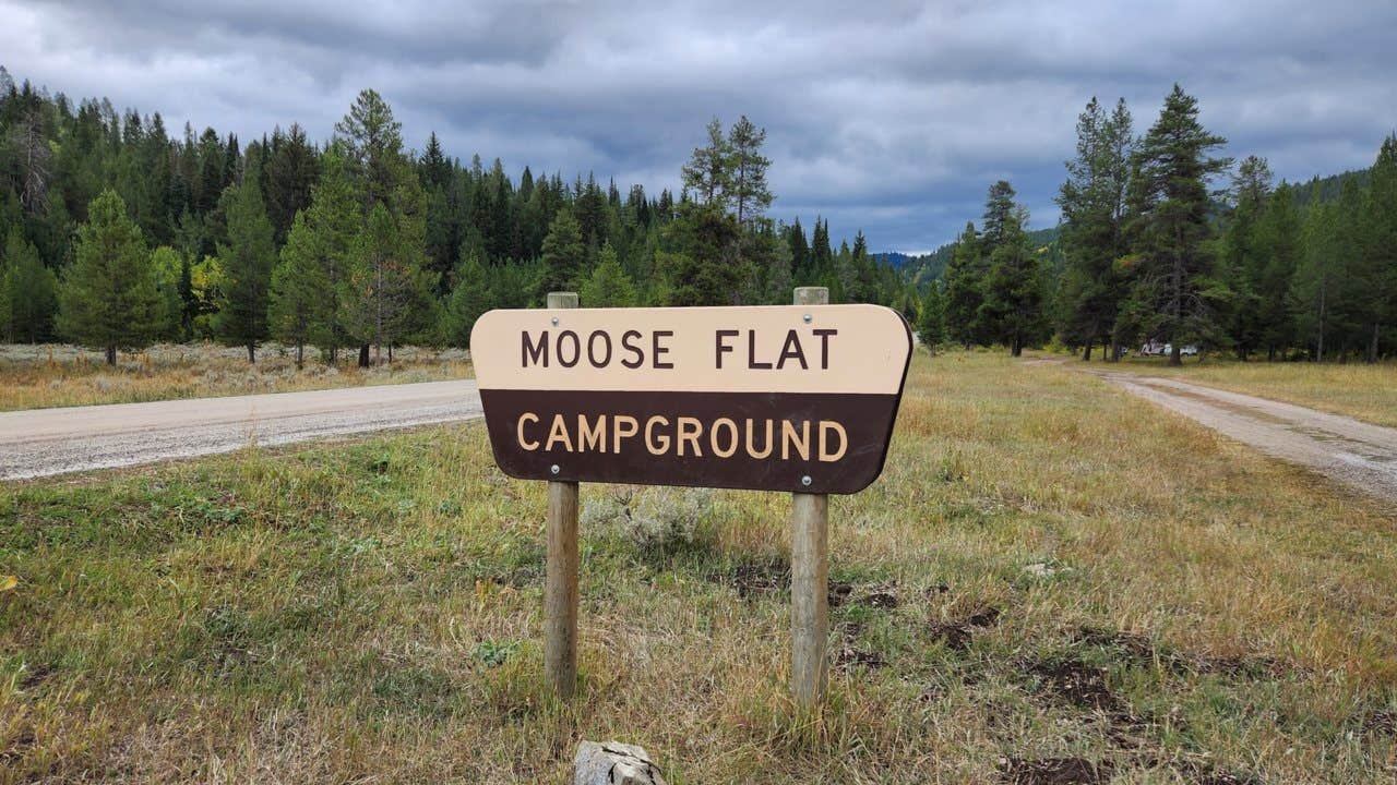 Camper submitted image from Moose Flat - 5