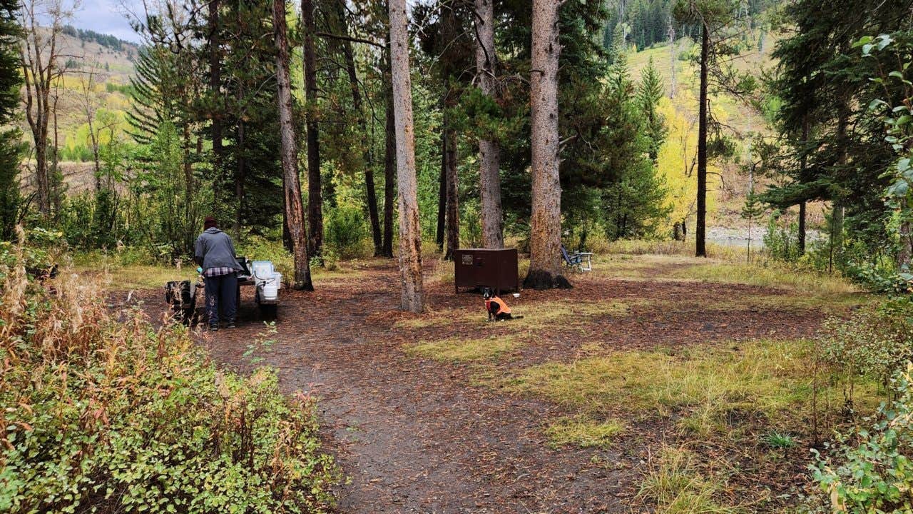 Fred S.'s photo of camping with pets at East Table Campground near Smoot, WY