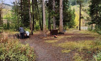 Fred S.'s photo of camping with pets at East Table Campground near Thayne, WY