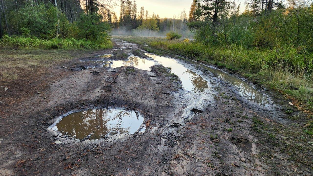 Camper submitted image from Lower Rock Creek FR305 Dispersed - 3