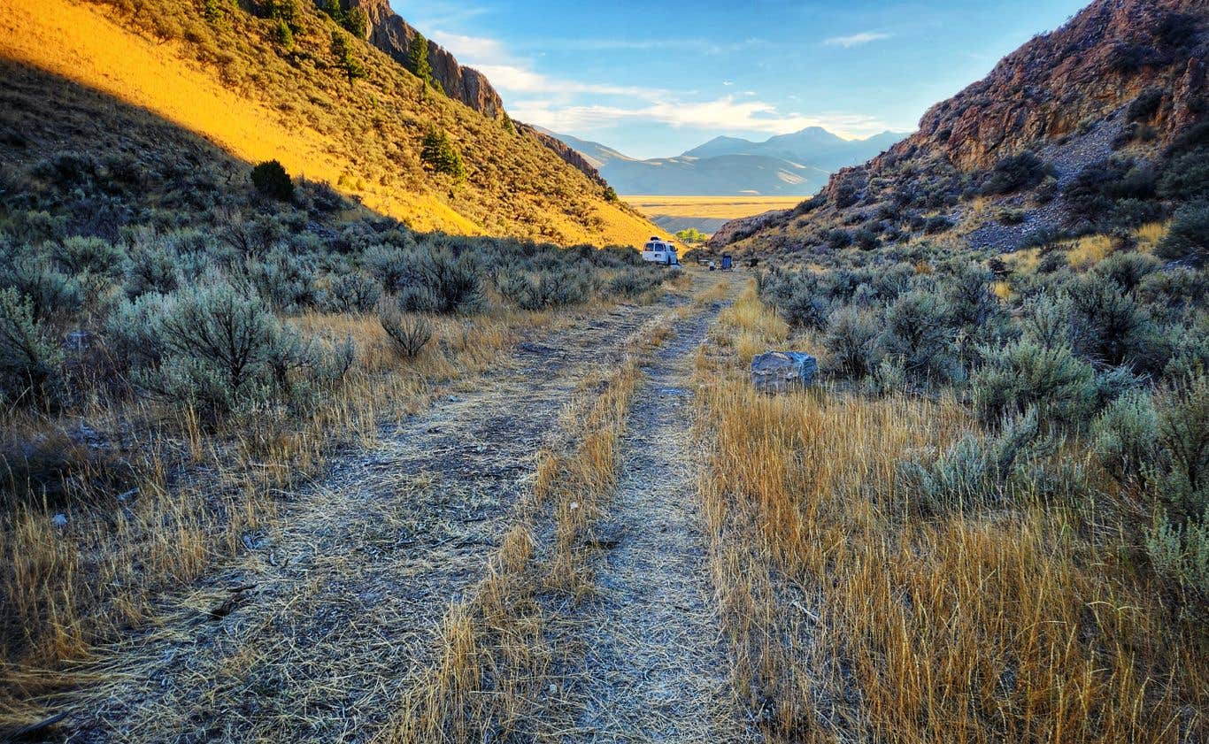 Camper submitted image from BLM Skull Canyon Road Dispersed - 4