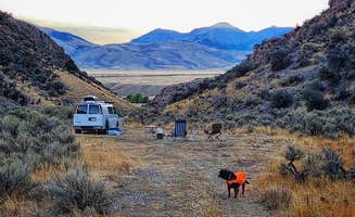 Fred S.'s photo of camping with pets at BLM Skull Canyon Road Dispersed near Mackay, ID