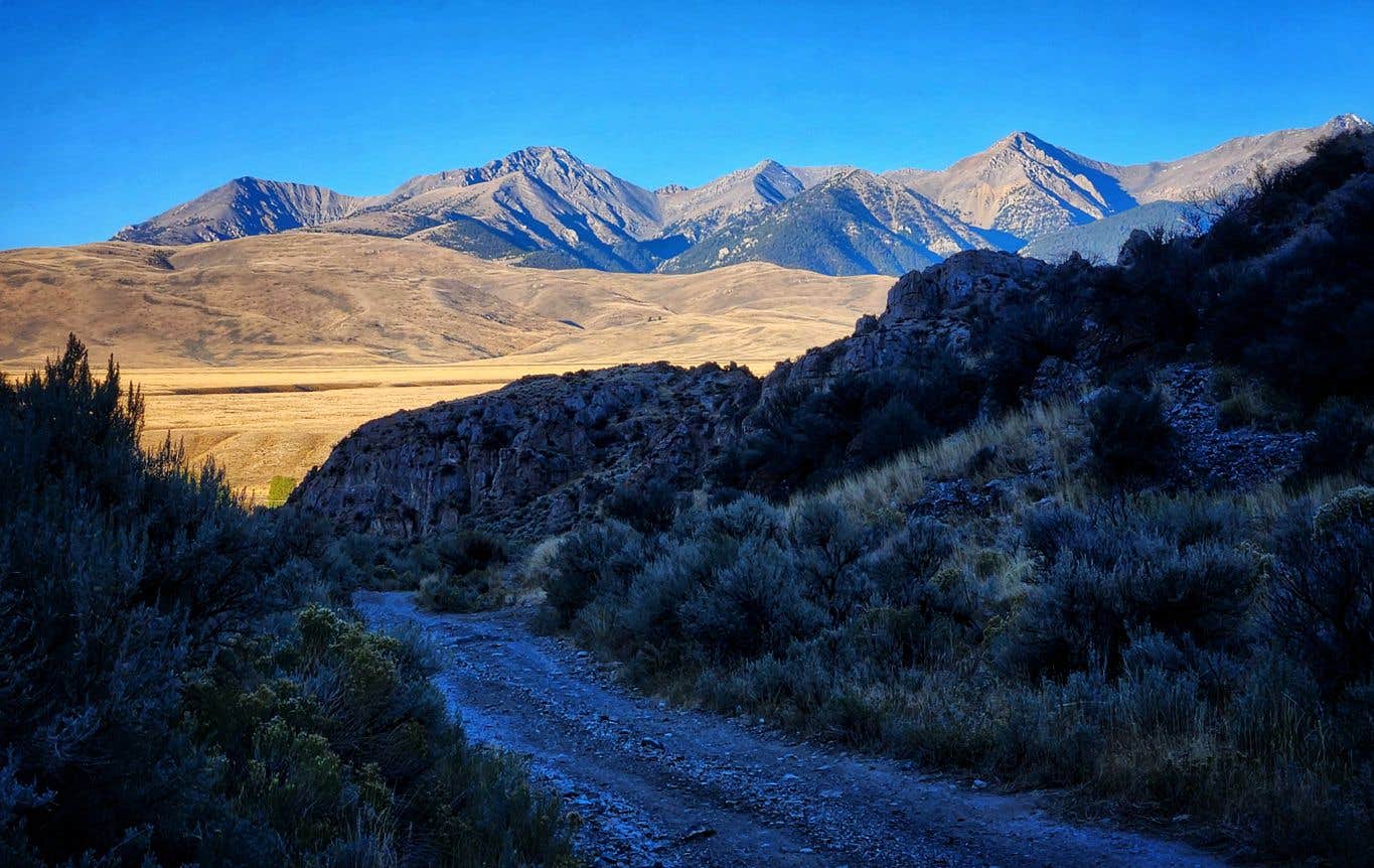 Camper submitted image from BLM Skull Canyon Road Dispersed - 3