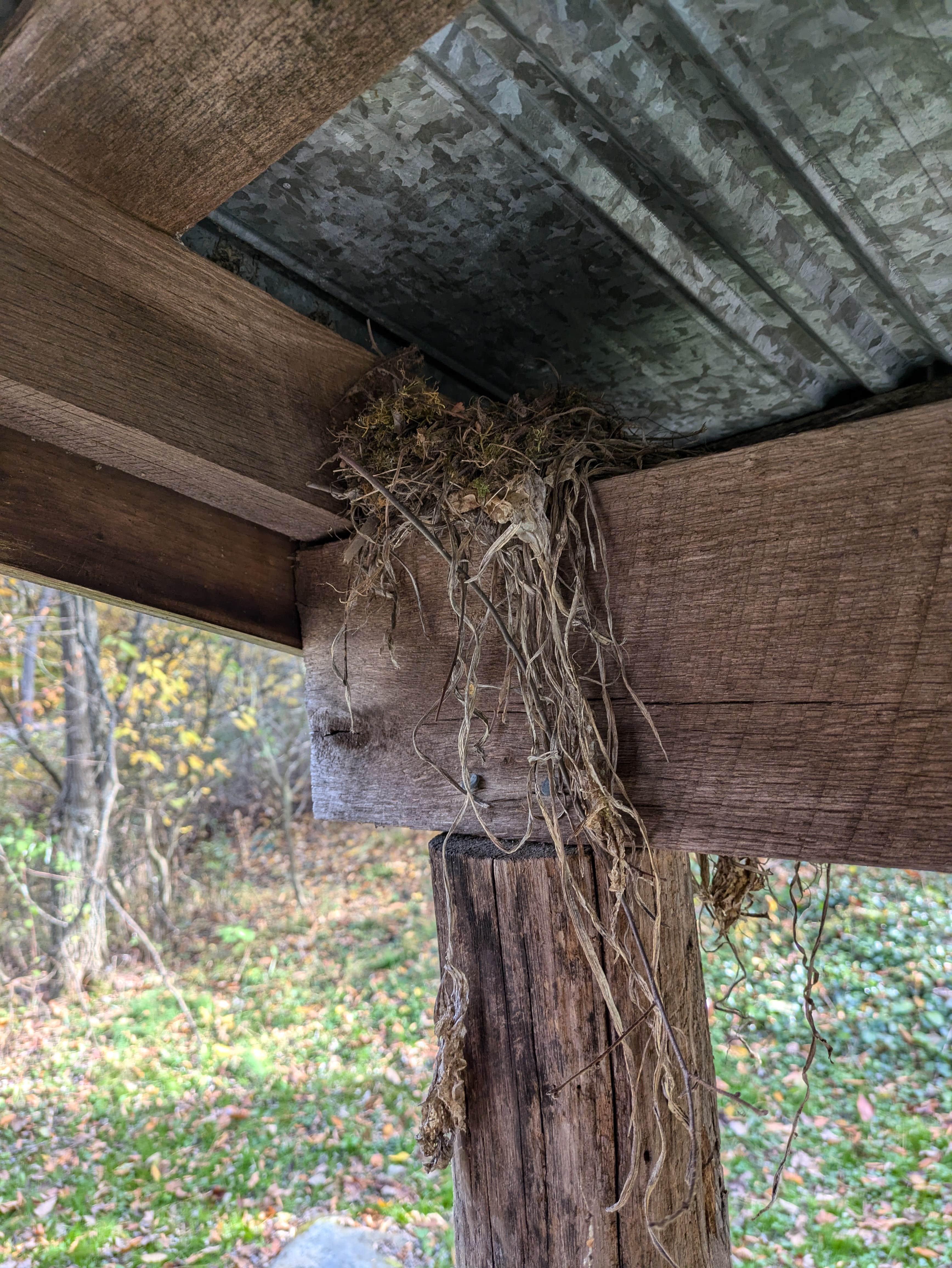 Camping near Annapolis Rock Campground — Appalachian National Scenic Trail: Olive Green Cabin, Thurmont, Maryland