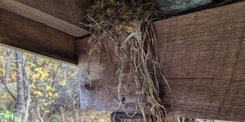 Camper submitted image from Olive Green Cabin