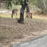 Review photo of Inks Lake State Park Campground by Abbey M., October 28, 2024