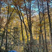 Review photo of Blue Jay Campground — Camp Creek State Park by Anna S., October 29, 2024