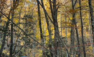 Anna S.'s photo at Blue Jay Campground — Camp Creek State Park near New Richmond, WV