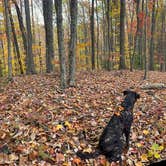 Review photo of Blue Jay Campground — Camp Creek State Park by Anna S., October 29, 2024