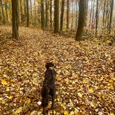 Review photo of Blue Jay Campground — Camp Creek State Park by Anna S., October 29, 2024