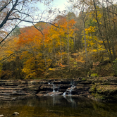 Review photo of Blue Jay Campground — Camp Creek State Park by Anna S., October 29, 2024