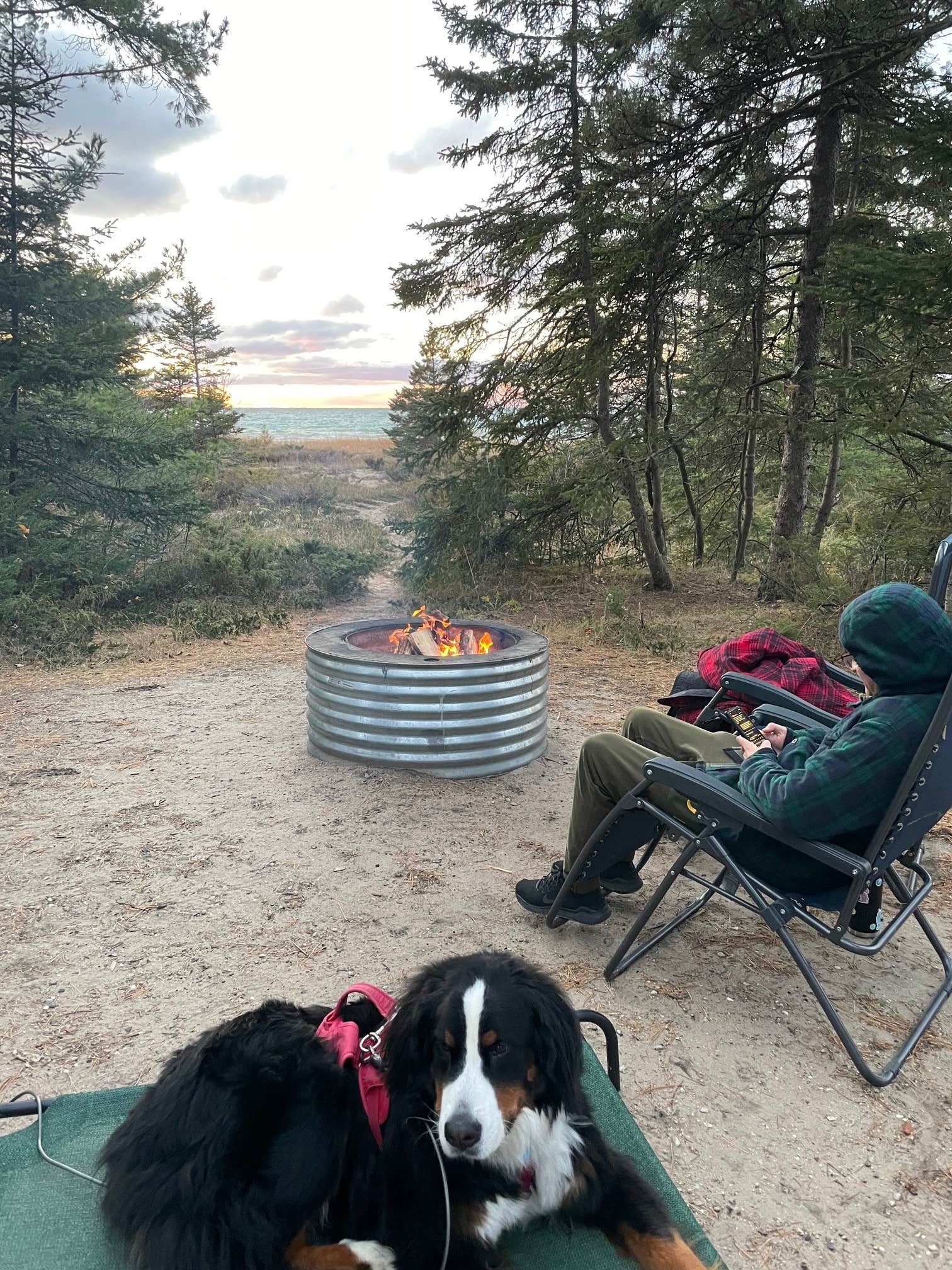 Sydney's photo of camping with pets at Wilderness State Park Camping near Mackinaw City, MI