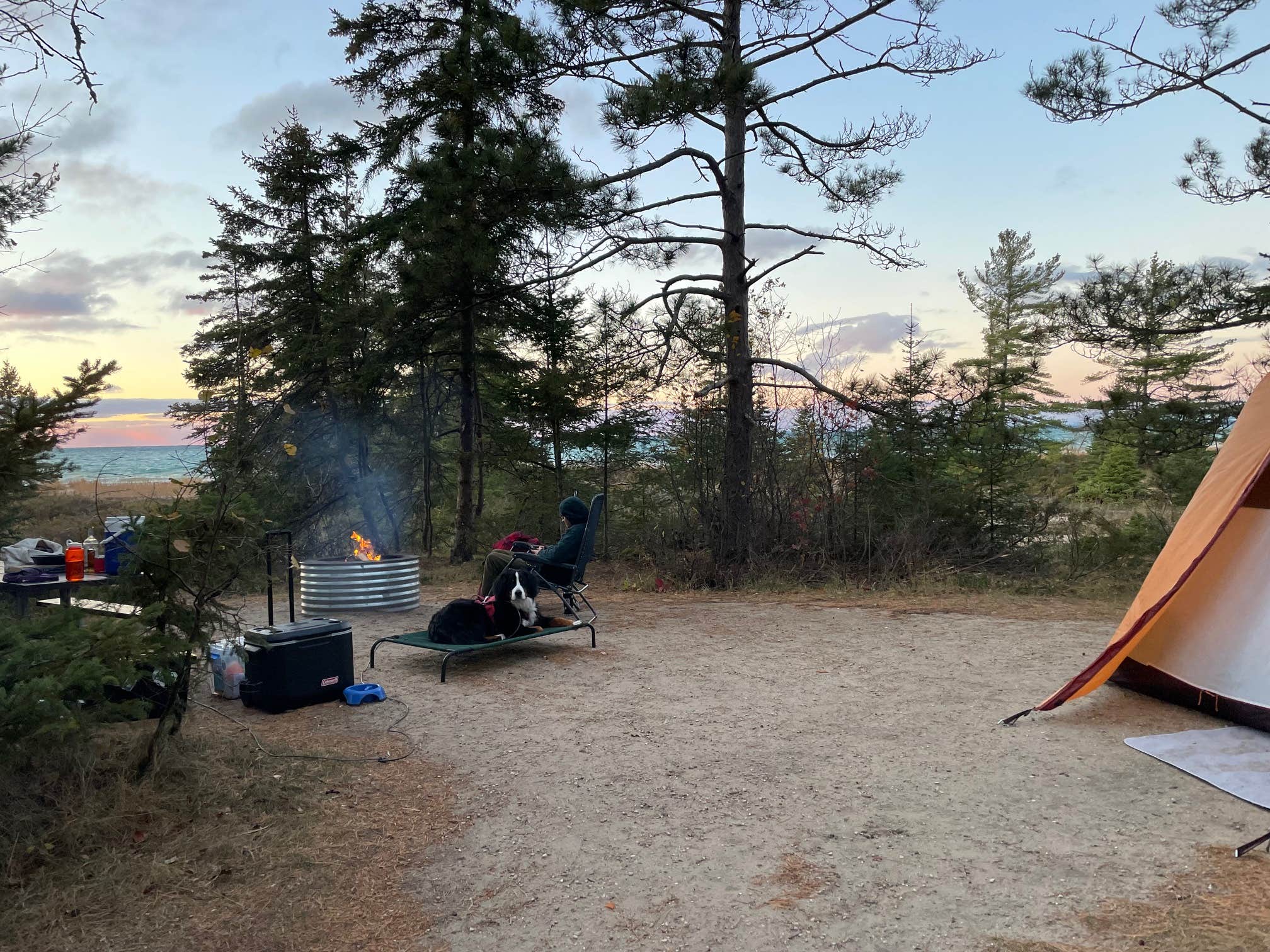 Sydney's photo of camping with pets at Wilderness State Park Camping near Harbor Springs, MI