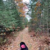 Review photo of Wilderness State Park Camping by Sydney , October 29, 2024