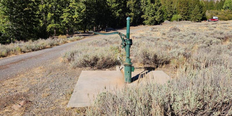 Camper submitted image from Iron Bog Campground