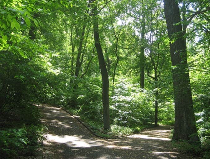 Camper submitted image from Camp Gateway- Brooklyn NY - CLOSED — Gateway National Recreation Area - 4