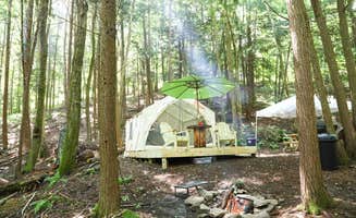 The Dyrt's photo at Hidden Falls near Thompson, PA